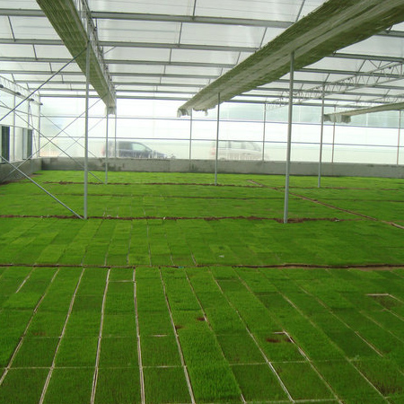 幻燈片標(biāo)題